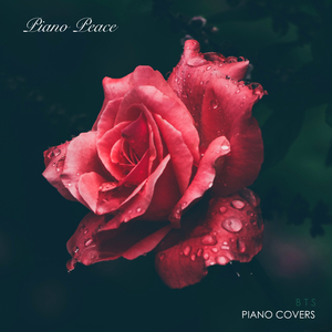 香蕉精品免费看
