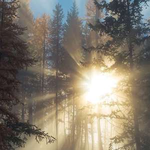 香蕉精品免费看
