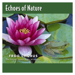 香蕉精品免费看
